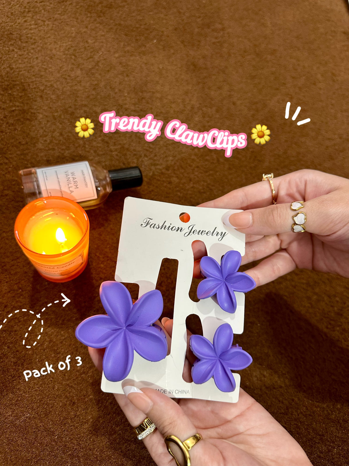 Pack of 3 clawclips 💗🌷✨